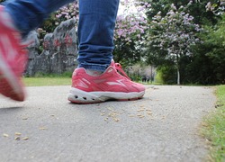 Normal_roze_schoenen_2